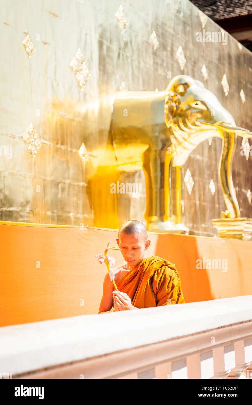 Wat Phra Singh Woramahavikarn Buddhist Temple Chiang Mai Thailand Stock Photo