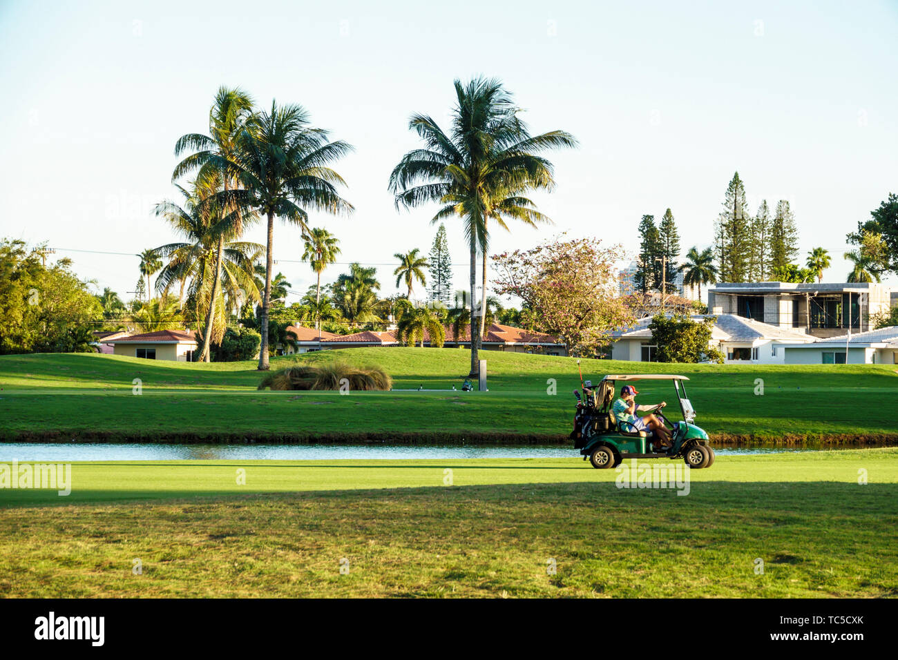 Miami Beach Florida,Normandy Shores Public Golf Club Course,man men male,golfer,electric cart,palm trees,FL190331005 Stock Photo