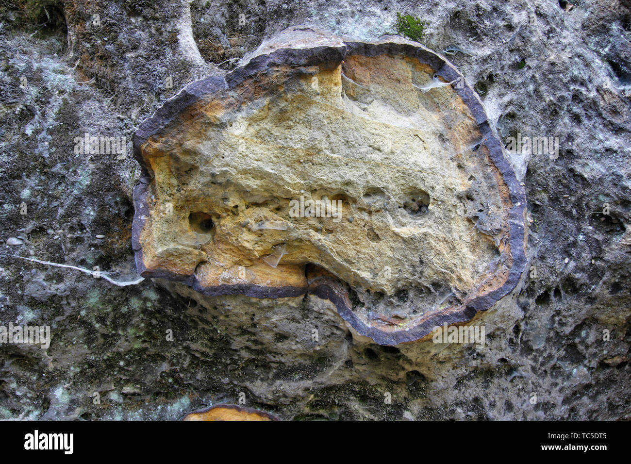 Bizarre geological formation - iron log in sandstone rocks - bog iron ore incrustation Stock Photo