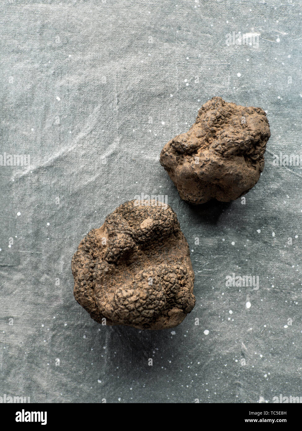 Expensive rare black truffle mushroom on gray background. Vertical. Black truffles top view with copy space for text or design. Stock Photo