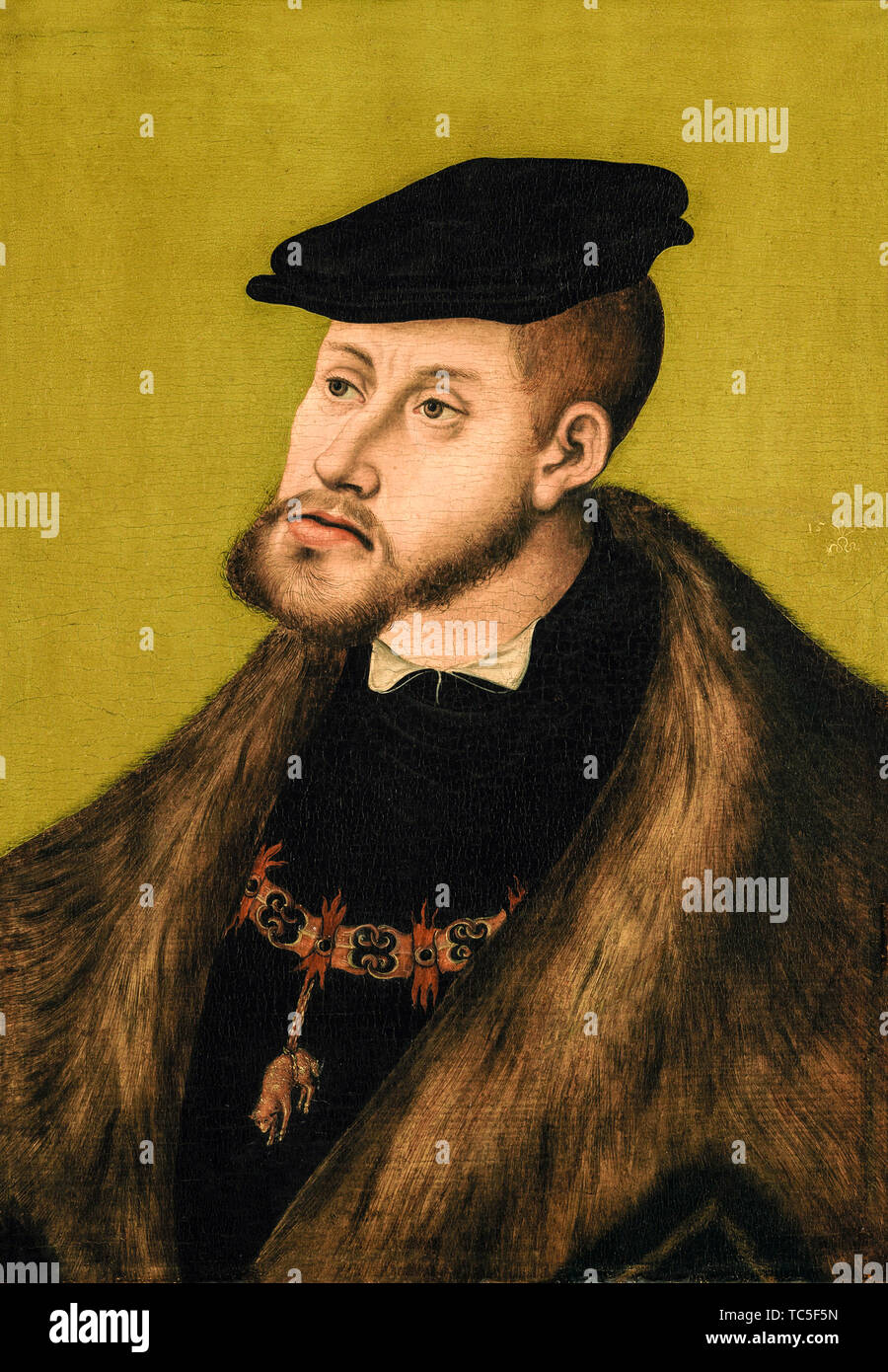 Lucas Cranach the Elder, Charles V (1500-1558), Holy Roman Emperor, 1519-1556, portrait painting, 1533 Stock Photo