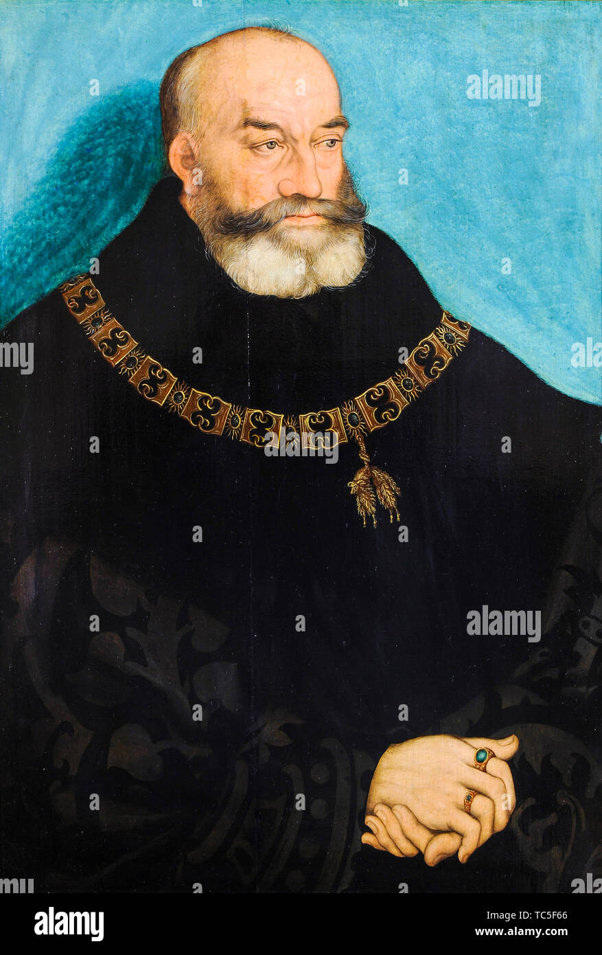 Lucas Cranach the Elder, George the Bearded, Duke of Saxony, 1471-1539, portrait painting, 1534 Stock Photo