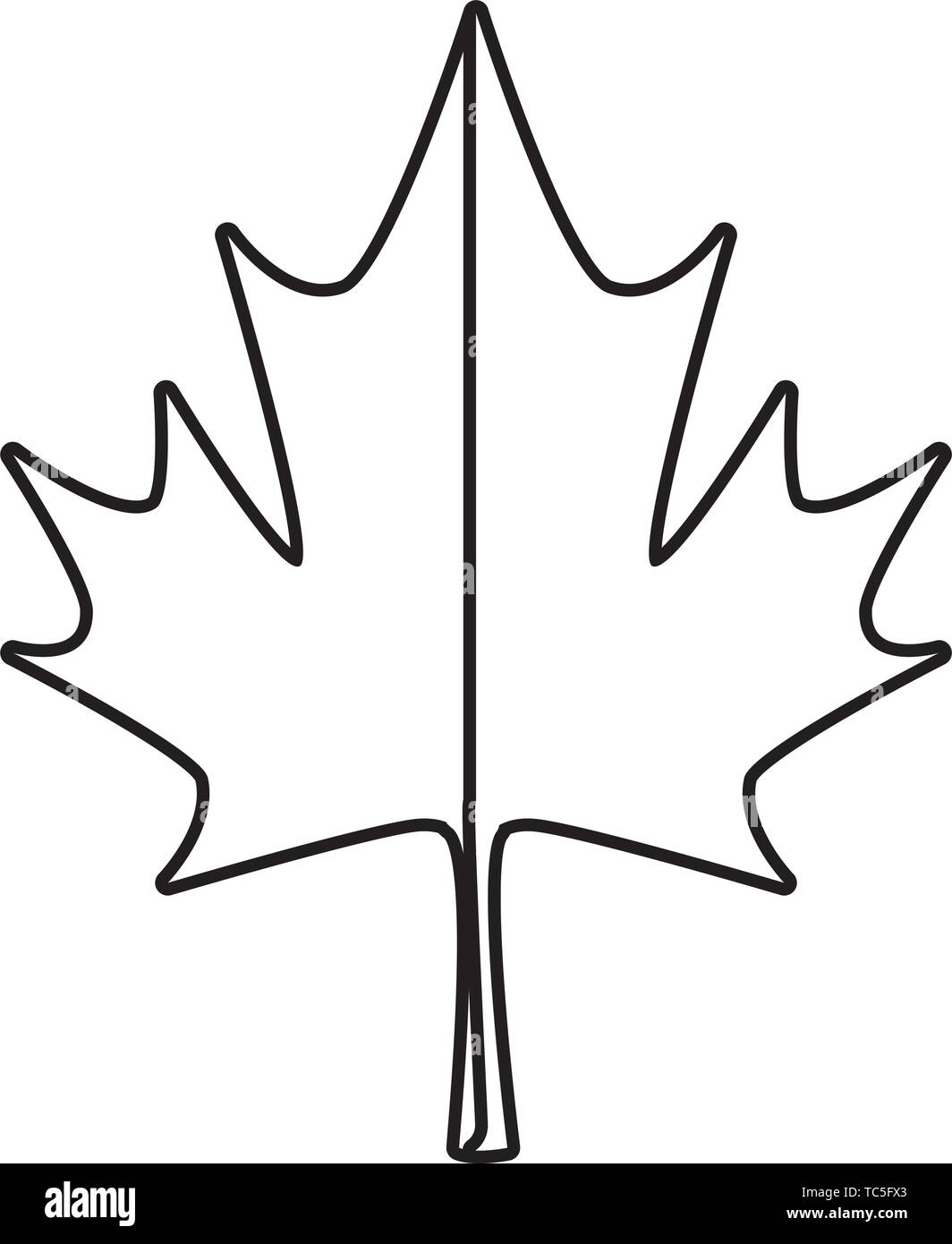 maple leaf canadian symbol icon Stock Vector Image & Art - Alamy