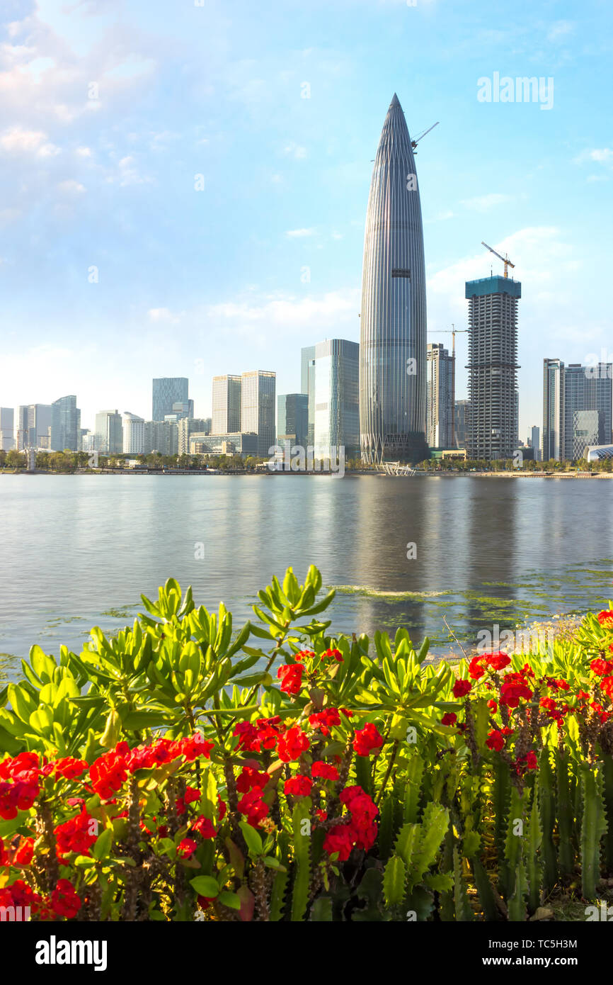 Downtown shenzhen shenzhen shenzhen bay nanshan district skyscrapers ...