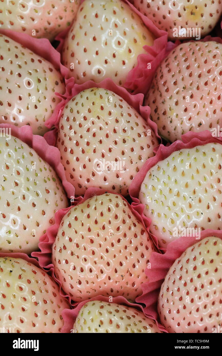 Net red strawberry, Japanese light snow strawberry, also known as white