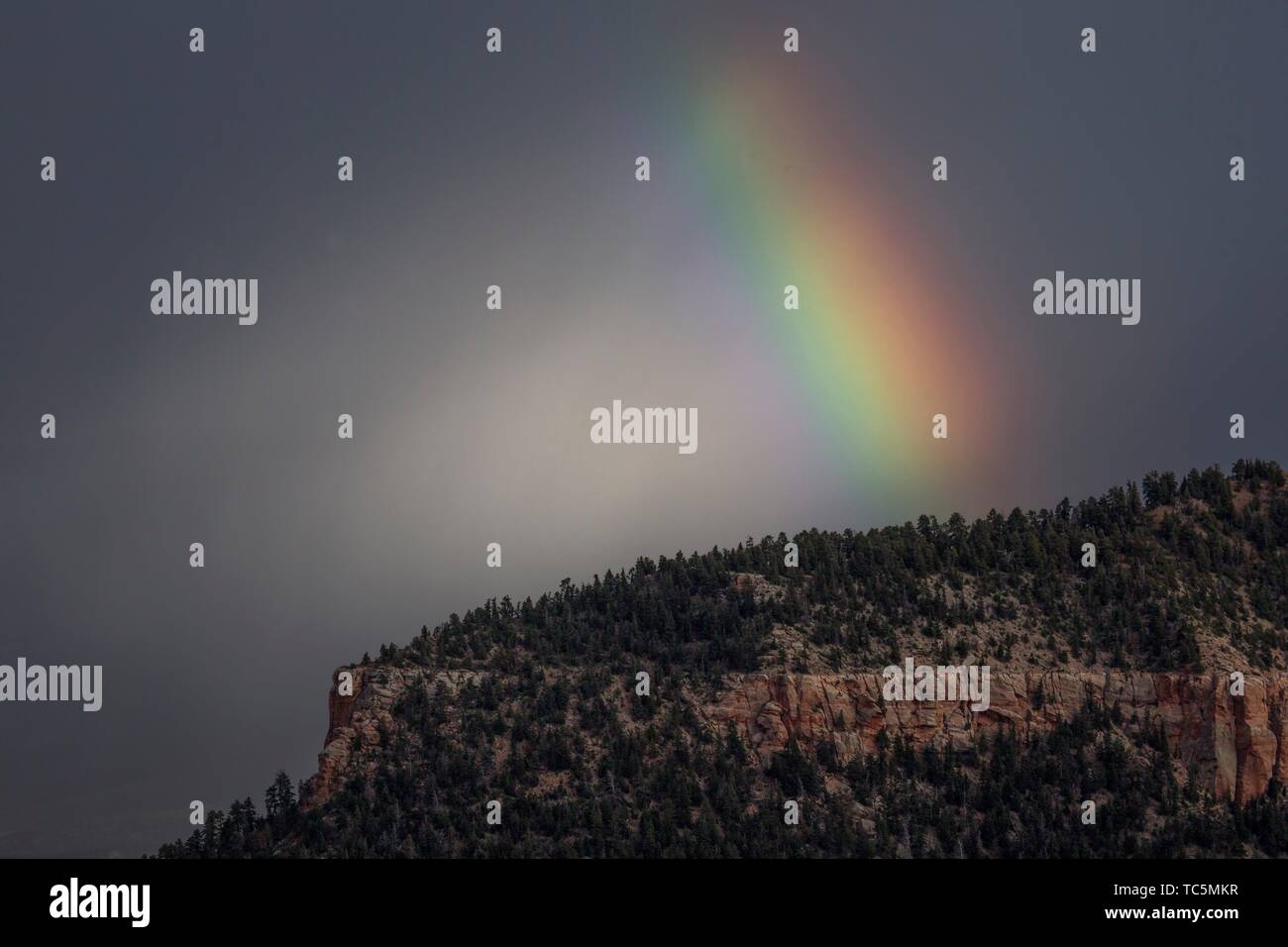 A rainbow appears at the North Rim of The Grand Canyon. Stock Photo