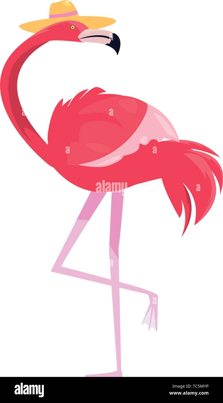 summer time holiday pink flamingo with hat vector illustration Stock ...