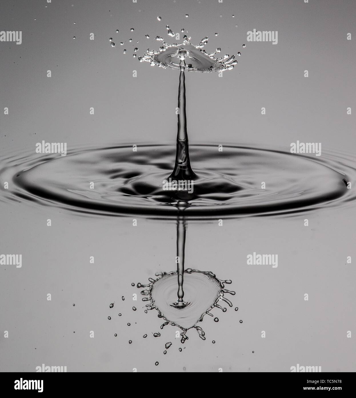 Drop on drop Stock Photo Alamy