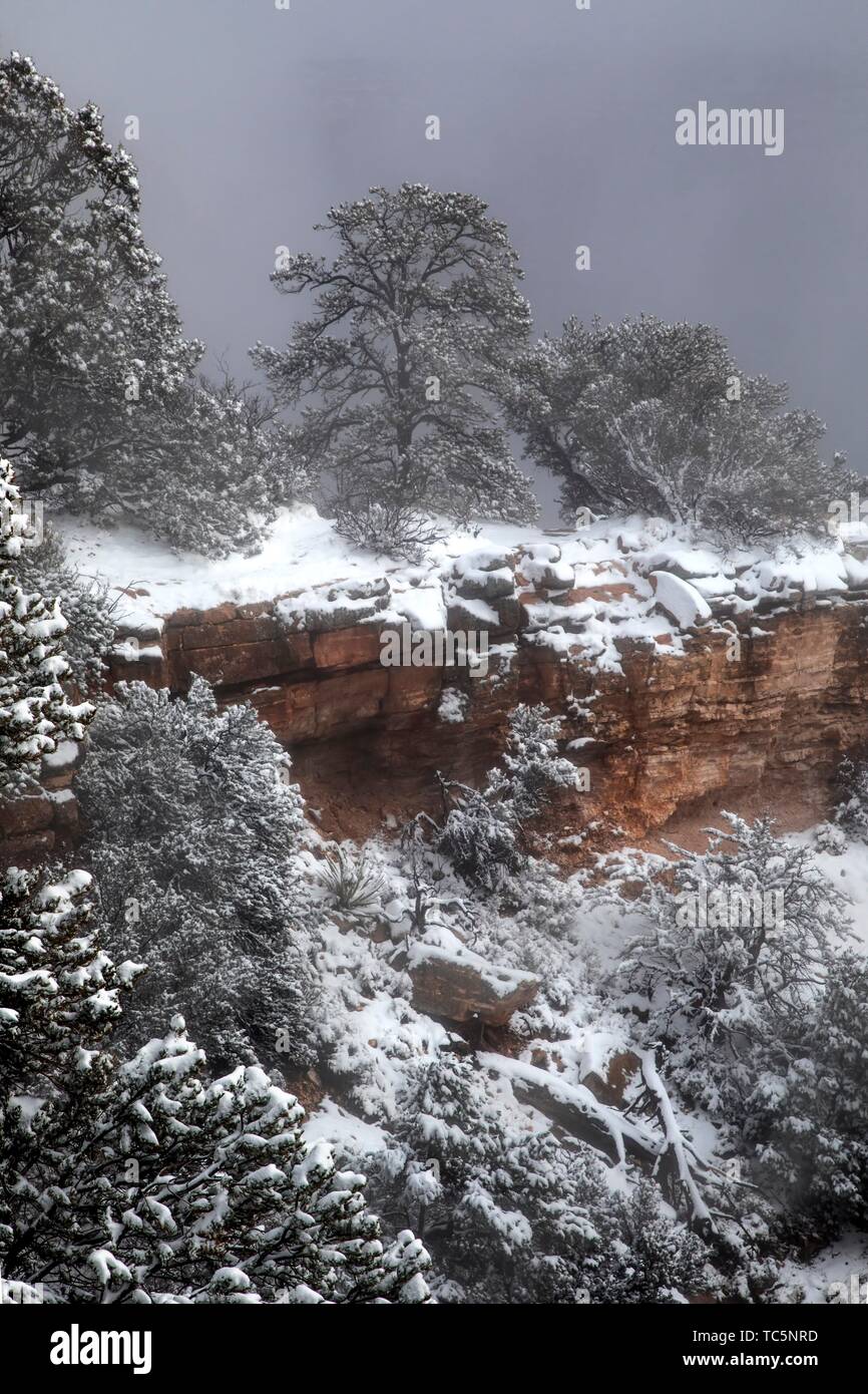 Rain and Snow showers move across the Grand Canyon at Grand Canyon National Park, Arizona Stock