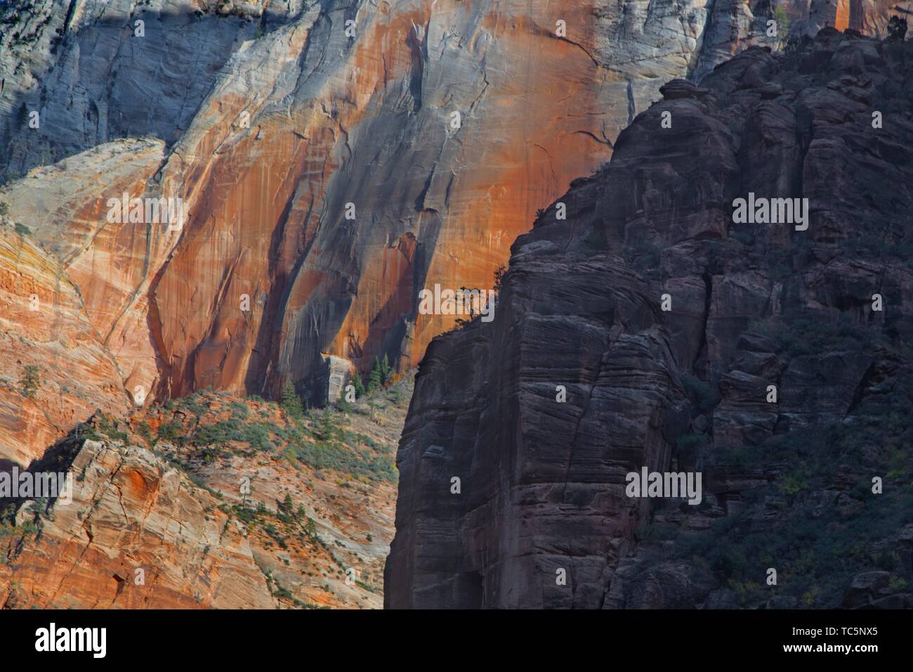 Sunlight shimes brightly on the canyon walls at the Big Bend area of Zion National park, Utah. Stock Photo