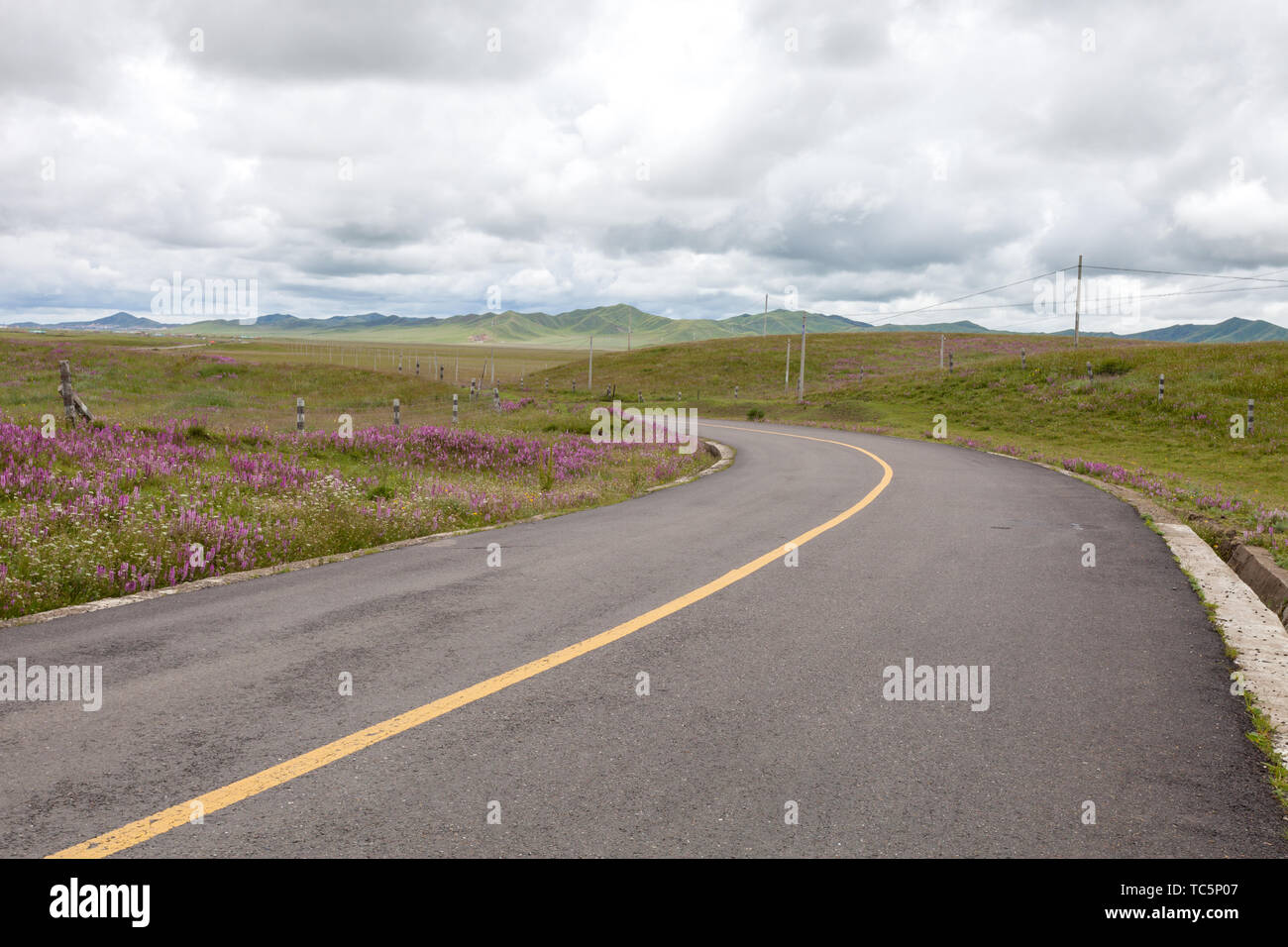 asphalt road through the green field and clouds on blue sky in s Stock ...