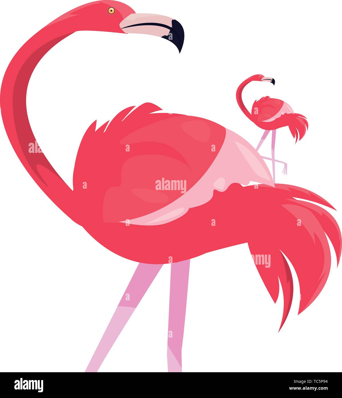 summer time holiday flamingo tropical bird vector illustration Stock ...