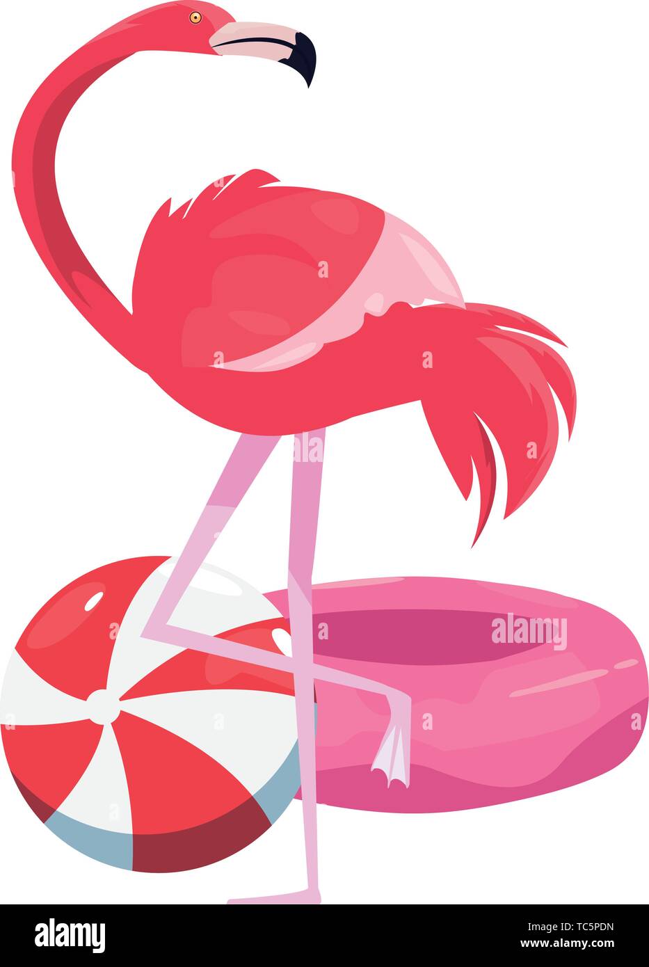 summer time holiday flamingo ball and float vector illustration Stock ...