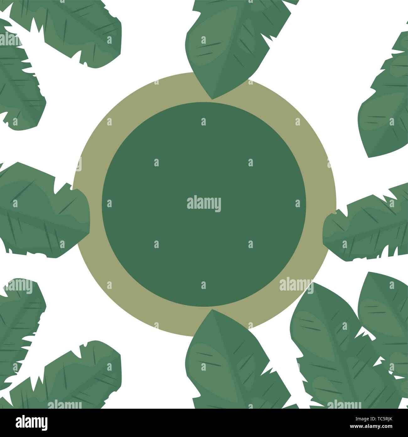 summer time badge foliage frame tropical leaves vector illustration ...