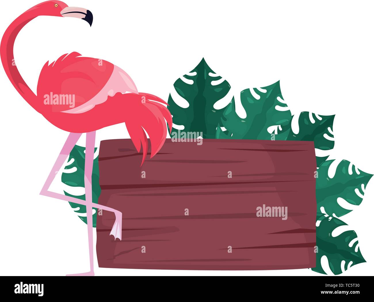 summer time holiday flamingo wooden board foliage vector illustration ...