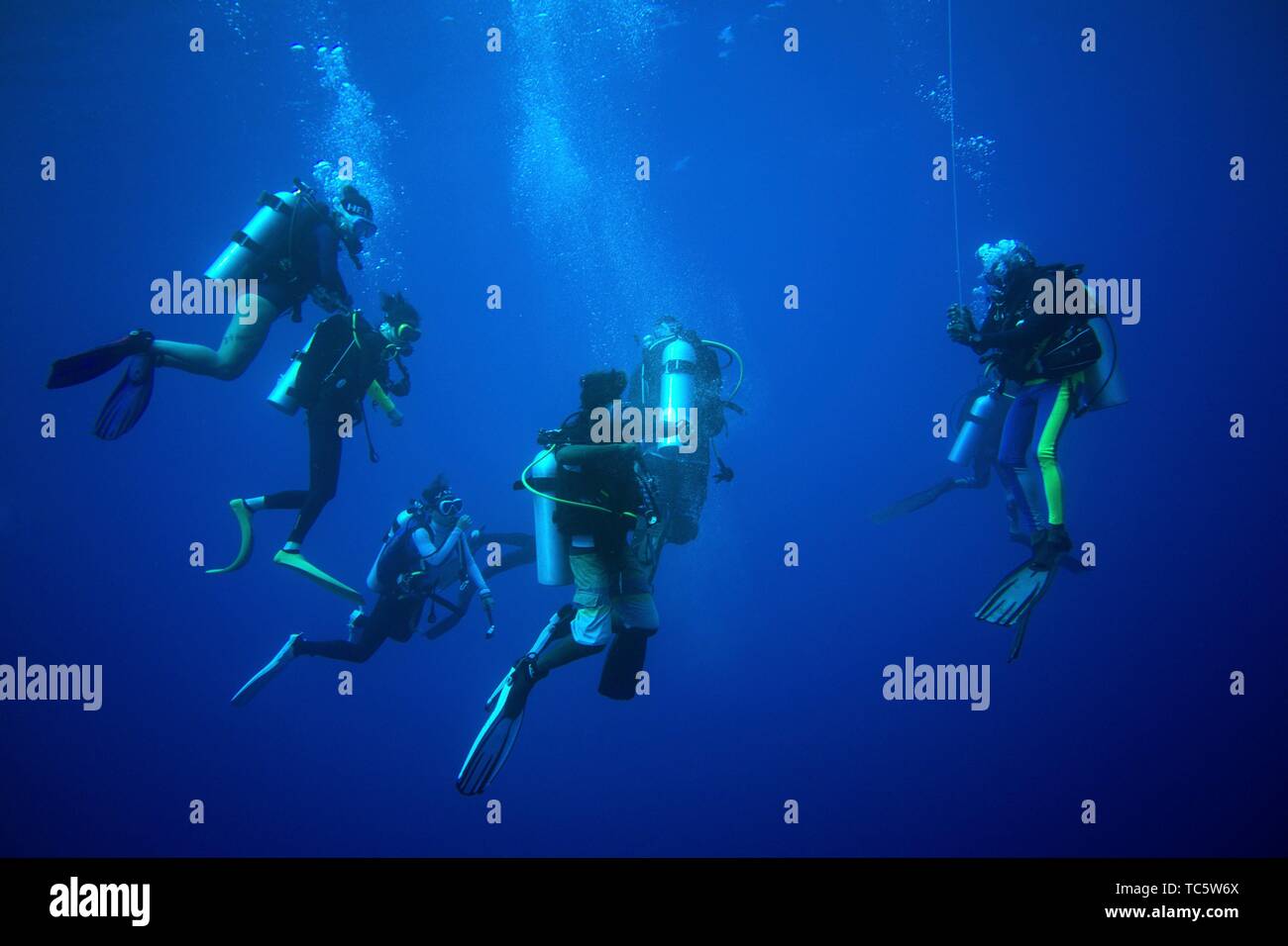 Group of diver making the safety stop just under the surface Stock