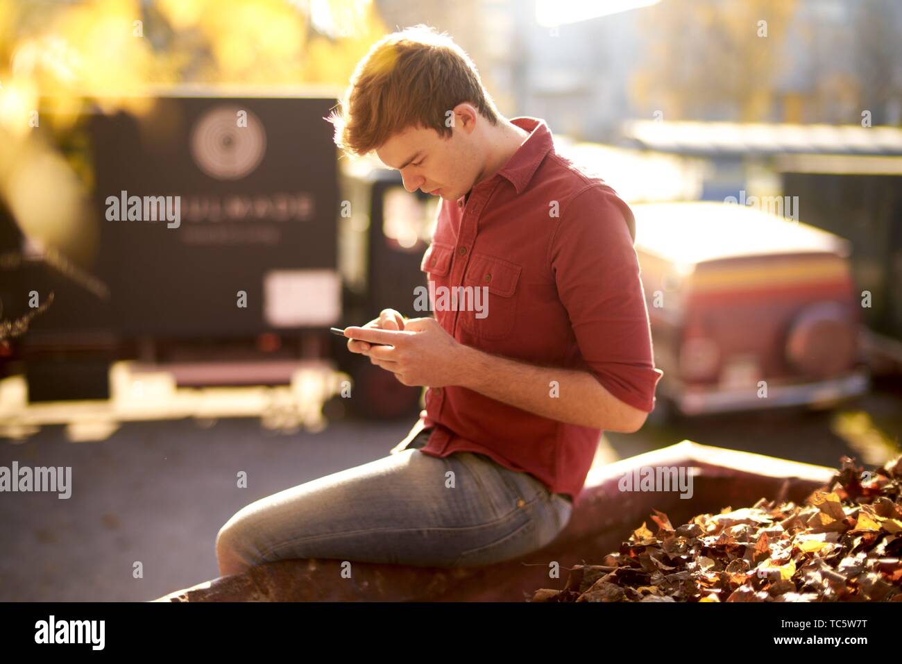 Young man typing text message at mobile phone while sitting on container full of autumn leaves, outdoors in warm sunlight, in Munich, Germany Stock Photo