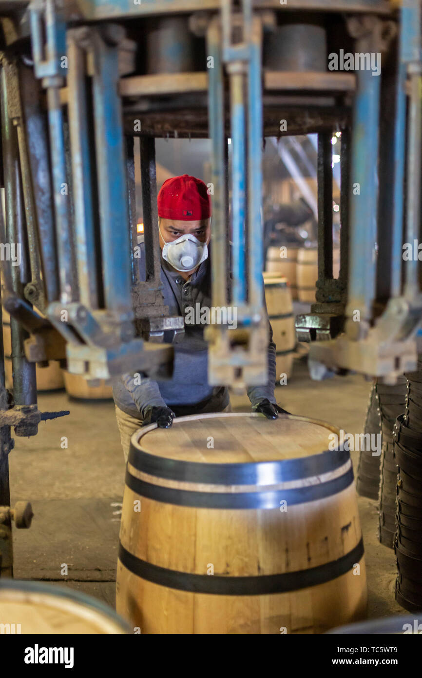 Louisville, Kentucky - Workers at Kelvin Cooperage make oak barrels for aging bourbon and wine. Metal rings are fitted around the barrel. Stock Photo