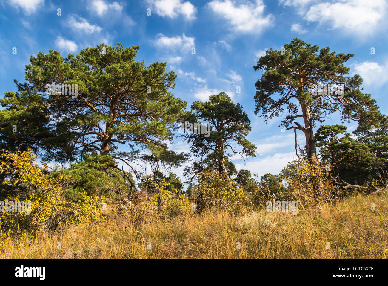 Xishan Park Hi-res Stock Photography And Images - Alamy