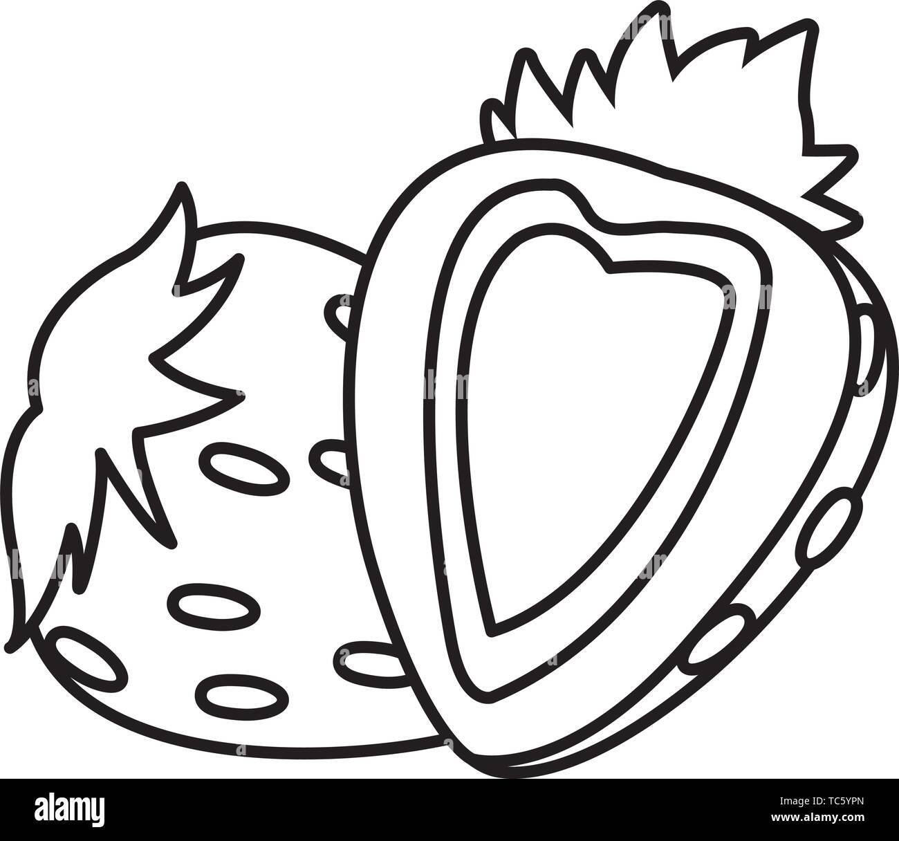 Strawberries half cut fruits cartoon in black and white Stock Vector