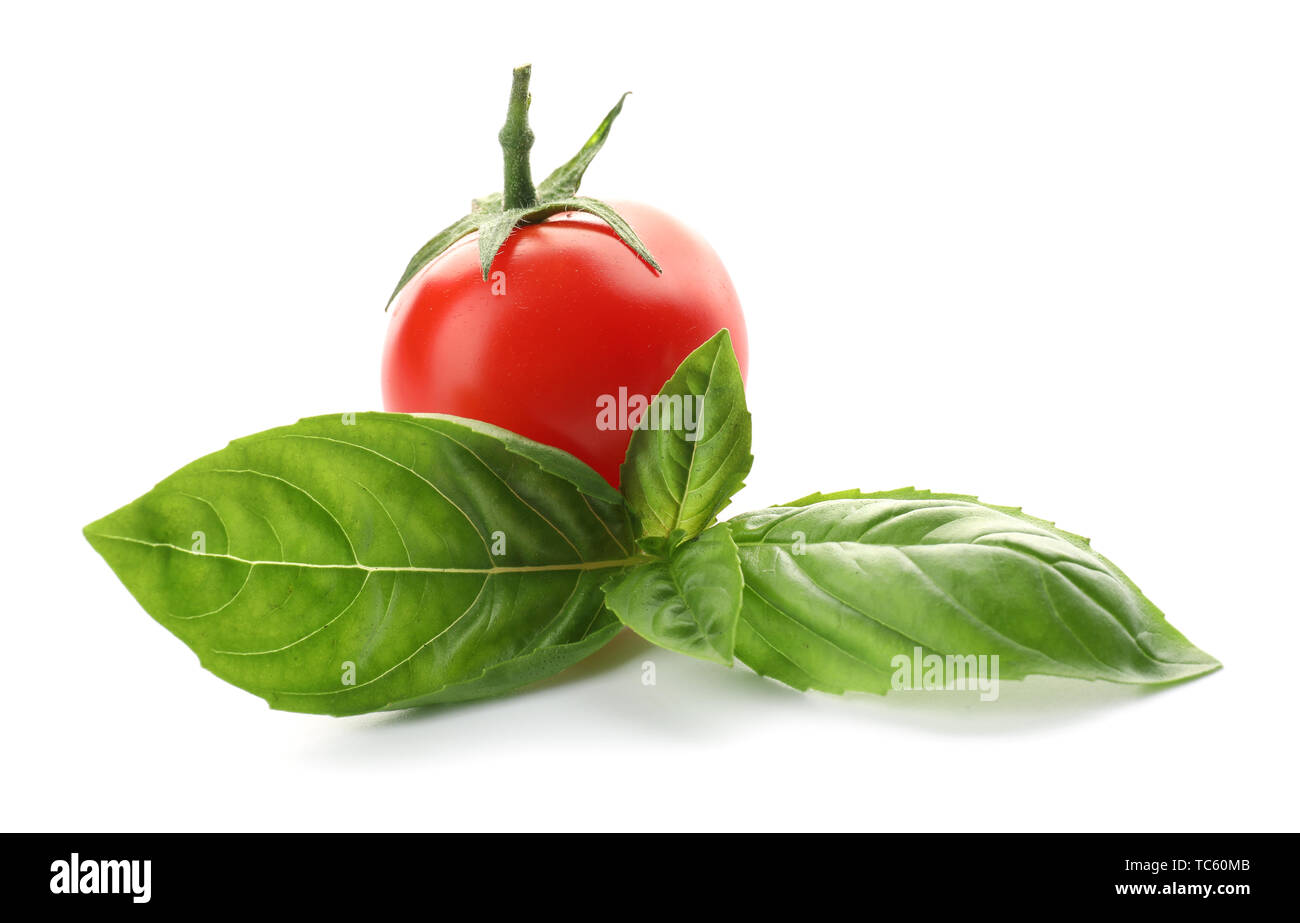 Fresh basil leaves and tomato on white background Stock Photo - Alamy