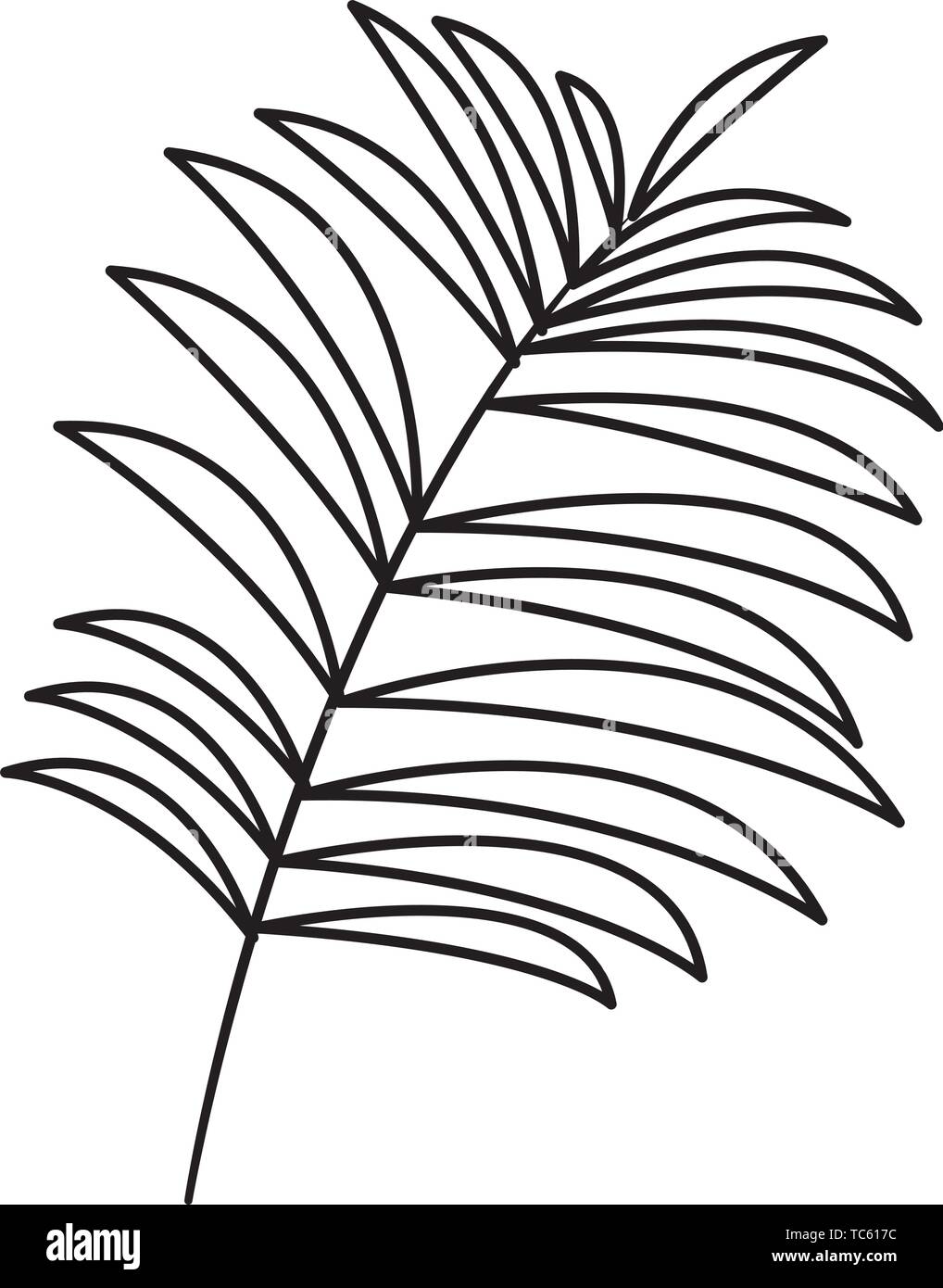 Tropical palm leaf nature cartoon in black and white Stock Vector Image &  Art - Alamy