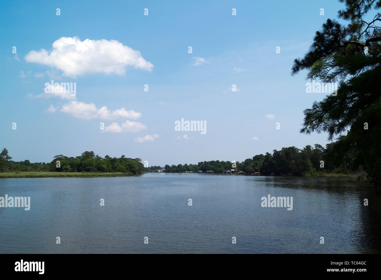 Fish River near Magnolia Springs, Alabama; USA Stock Photo Alamy