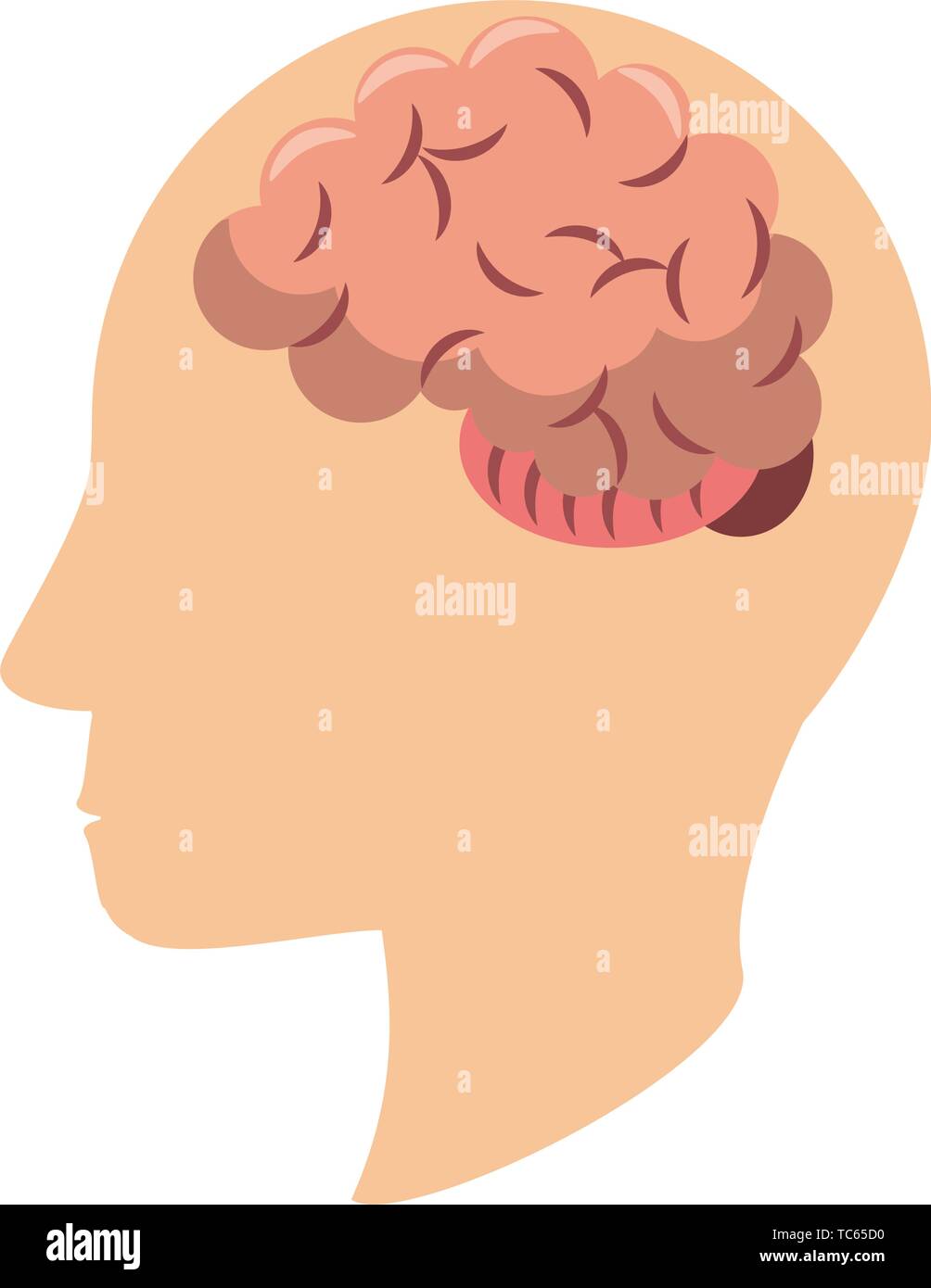 Human head silhouette with brain symbol Stock Vector Image & Art - Alamy