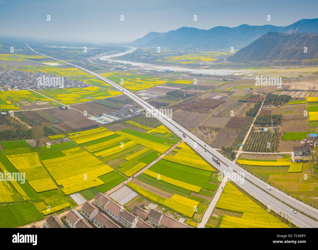 National Highway 108 through Hanzhong rapeseed Stock Photo
