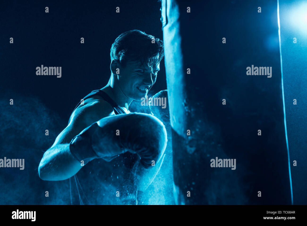 Aggressive boxer in boxing gloves training with punching bag Stock