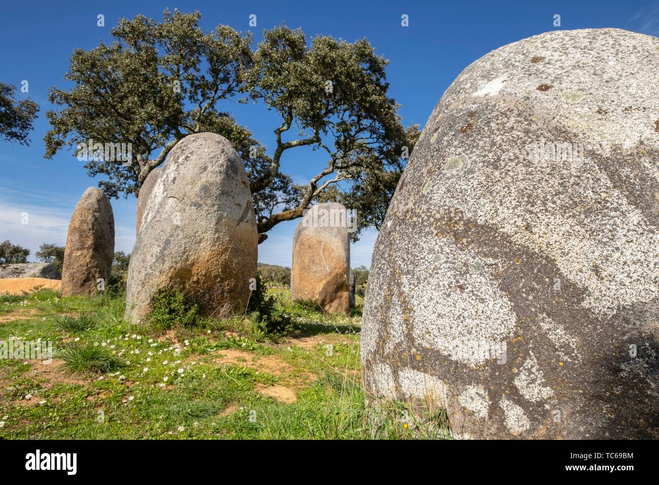 cromlech Vale Maria do Meio , Nossa Senhora da Graça do Divor ,Évora