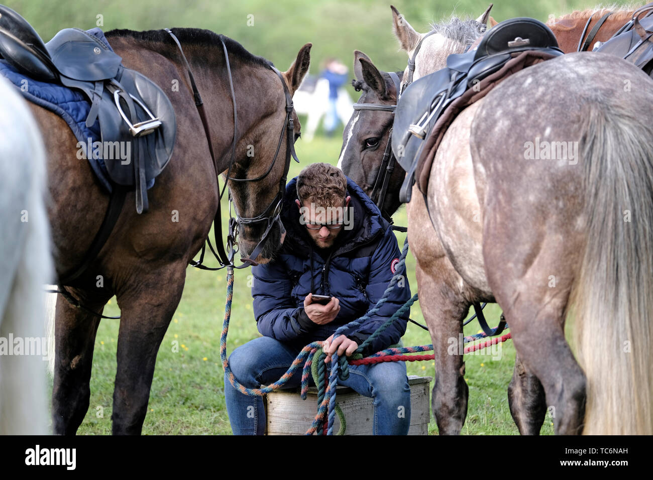 Hawick, Scottish Borders, UK. 06th June, 2019. Horse Holding, a young man holds several horses in a field near to The Hut, St Leonards, Hawick, on Thursday 06 June 2019 as the riders partake of refreshments and sing songs, before they remount and head to complete the early morning ride as part of Hawick Common Riding 2019, The main day tomorrow, Friday 7th June will see hundreds of horsemen follow the Cornet  on his ceremonial ride round the Burgh lands. Credit: Rob Gray/Alamy Live News  Stock Photo