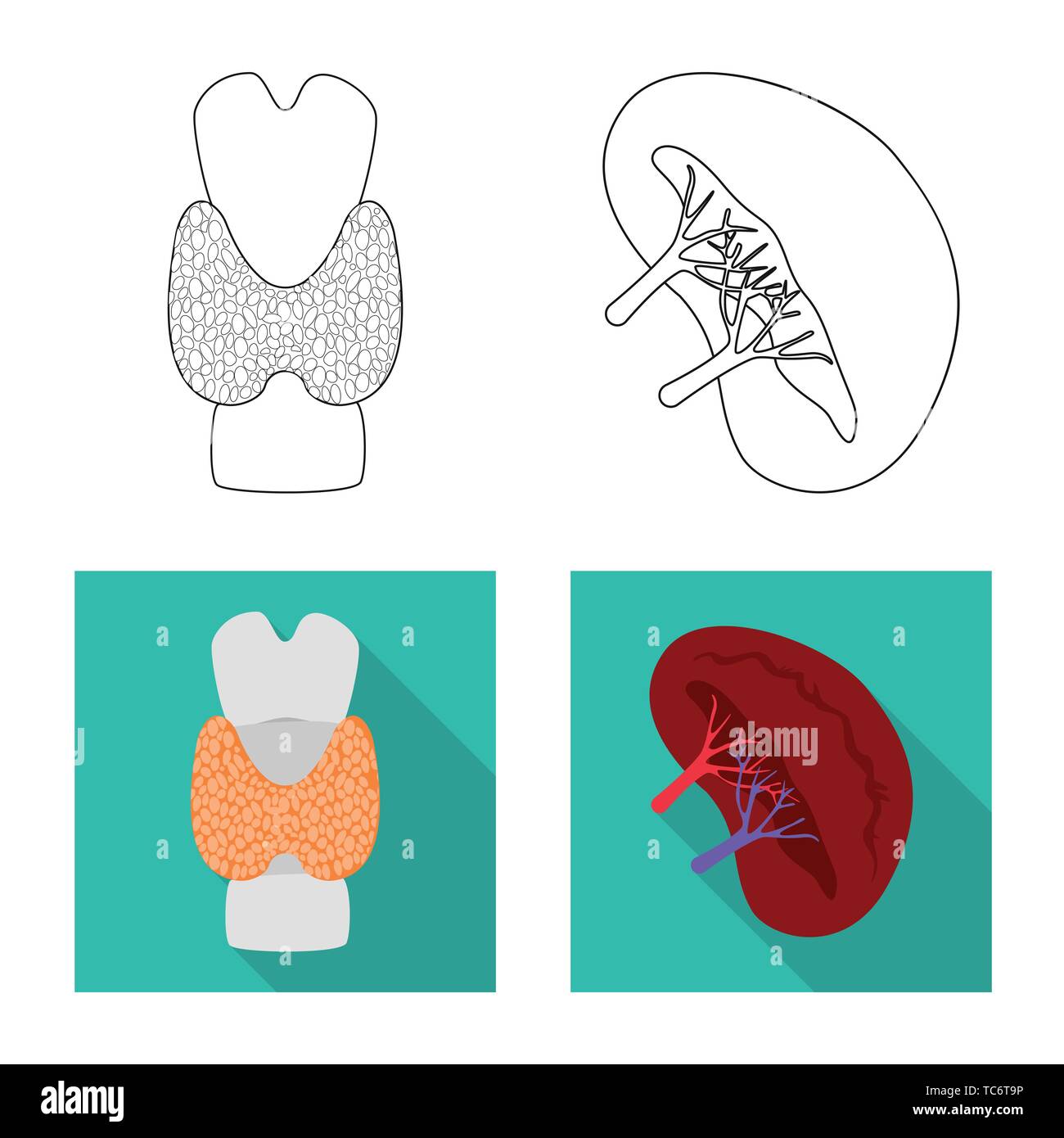 Isolated object of biology and scientific sign. Collection of biology ...