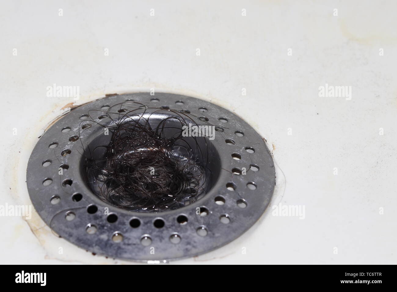 black hair clump stuck in metal net of sink or bath drain close up. Stock Photo