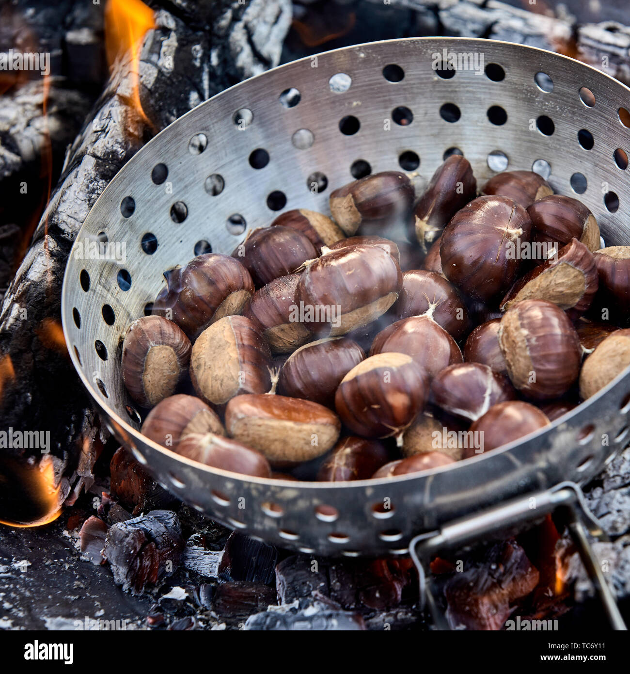 Fresh whole sweet chestnuts in their shells in a metal roaster over hot coals on a barbecue fire in a close up view Stock Photo