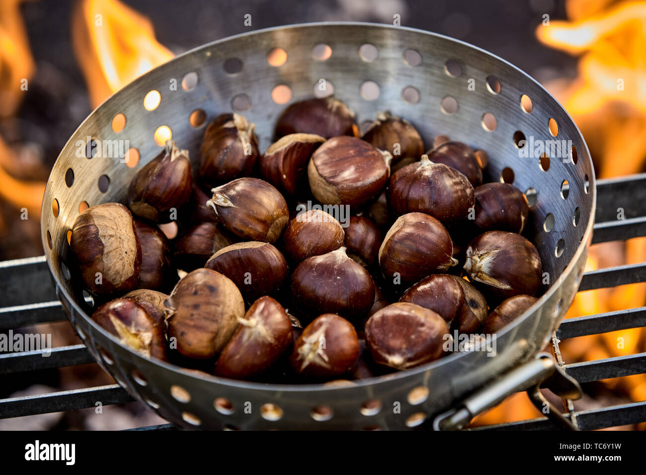 Metal roaster filled with fresh autumn chestnuts roasting on a grill over the hot coals of a barbecue fire Stock Photo