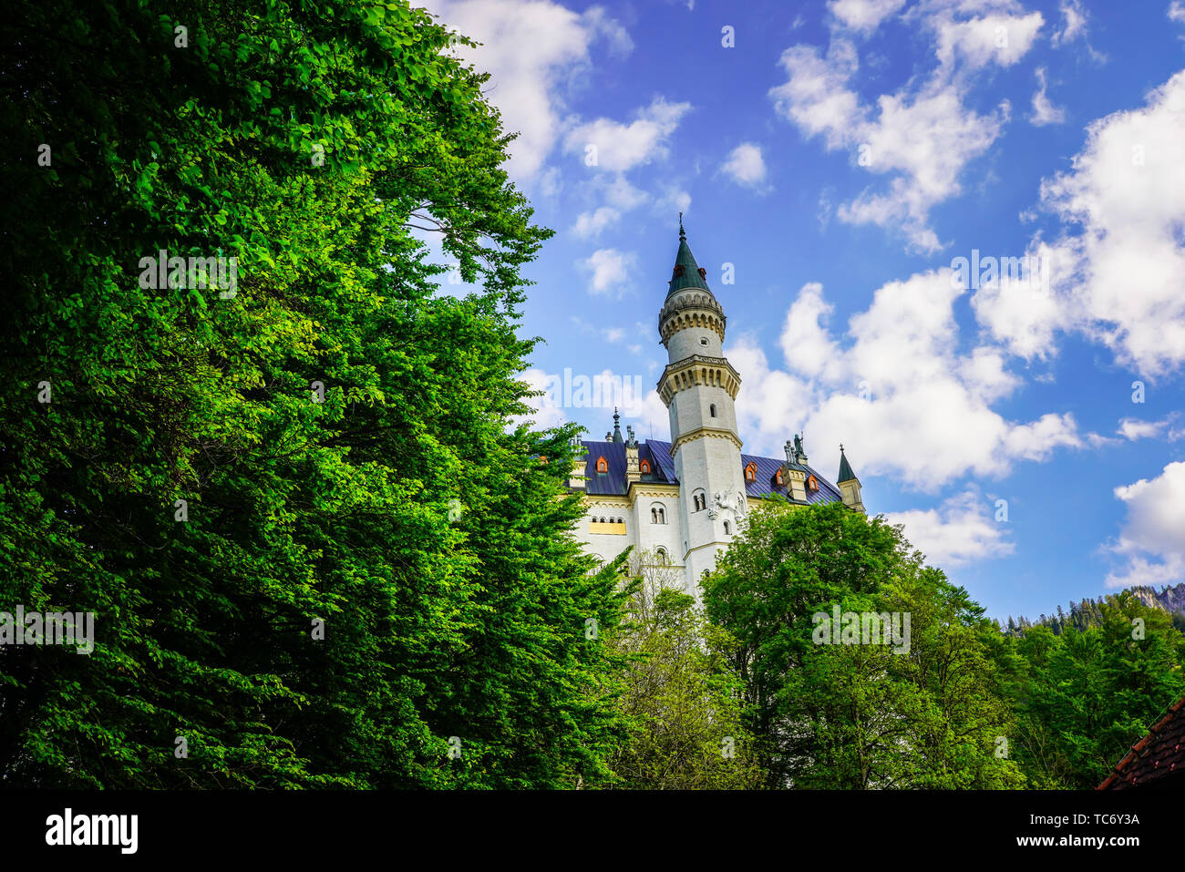 Fabulous Neuschwanstein Castle in the Bavarian alpine landscape of Germany. Stock Photo