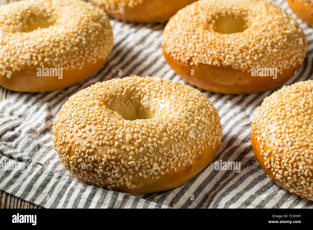 Homemade Sesame Seed Bagels Ready to Eat Stock Photo Alamy