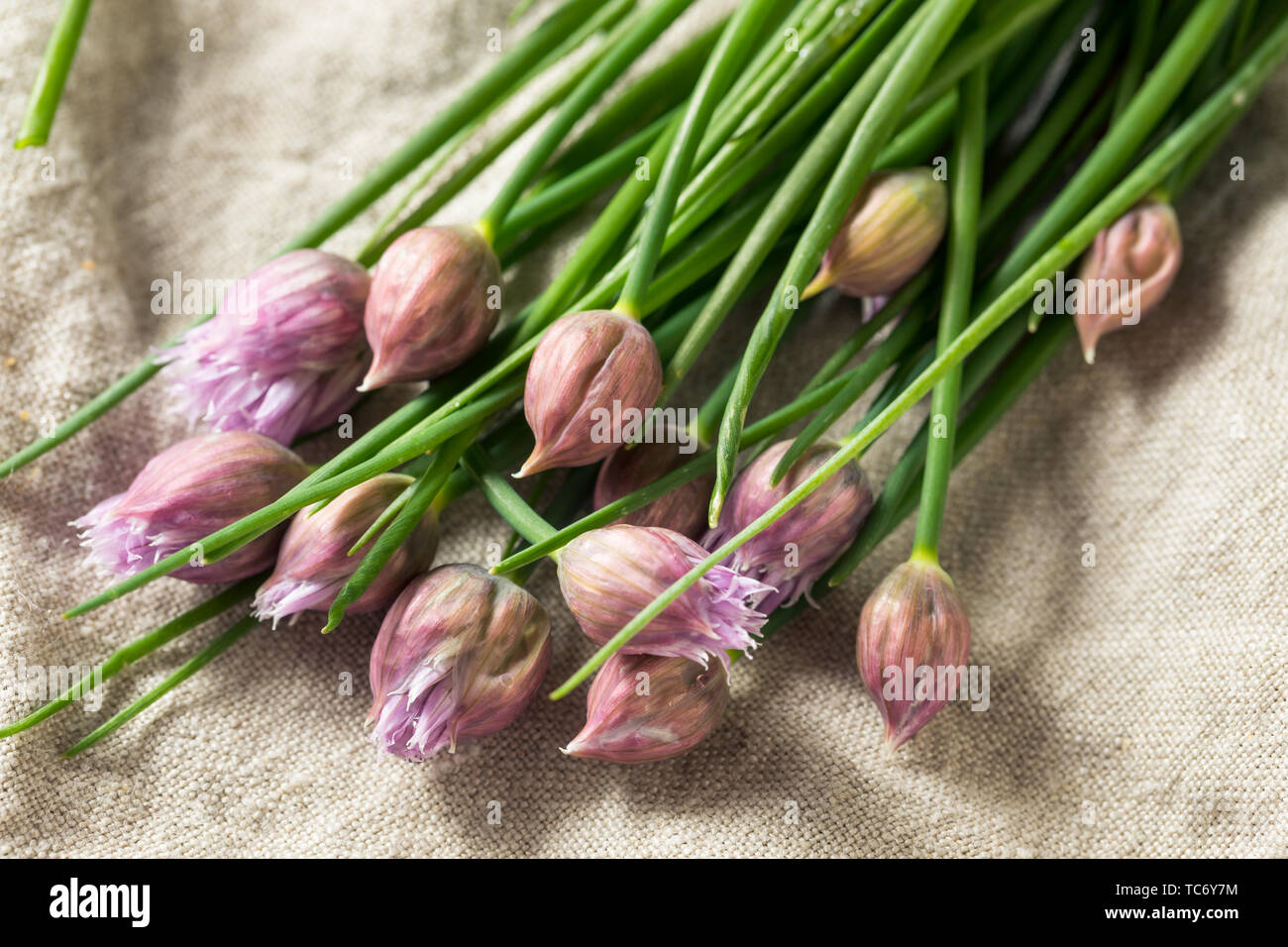 Raw Green Organic Flowering Chives Ready to Cook With Stock Photo