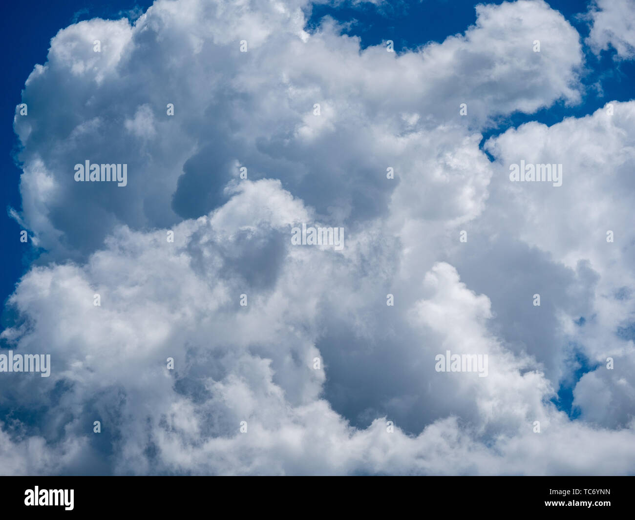 Image of blue sky abstract and fluffy white cloud during the daytime ...