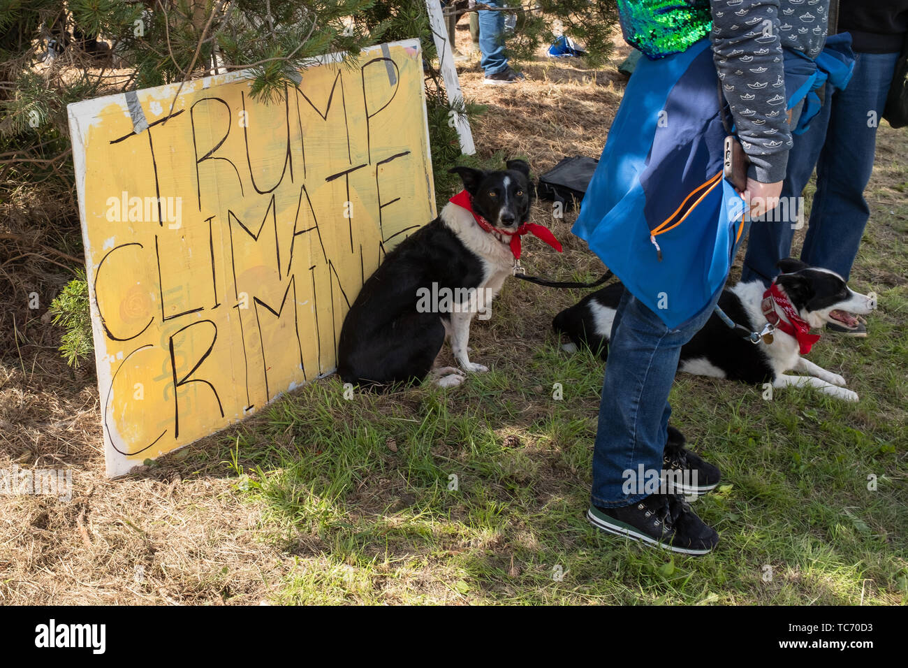 Shannon, Ireland, June. 5, 2019: Anti Trump dog protests at Shannon Airport, Ireland today Stock Photo