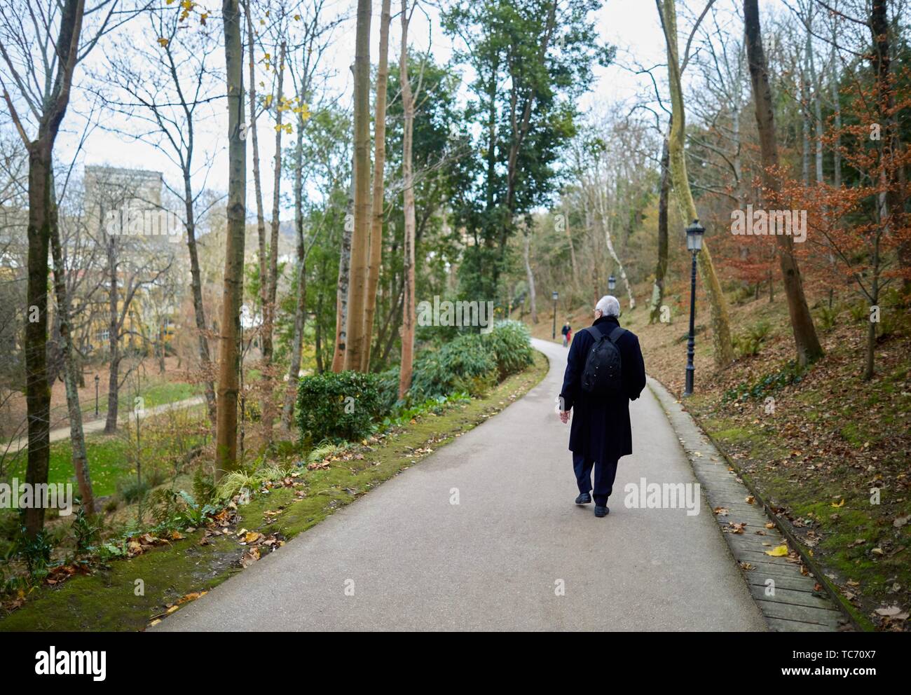 Man walking in the park, Cristina Enea Park, Donostia, San Sebastian, Gipuzkoa, Basque Country, Spain, Europe Stock Photo