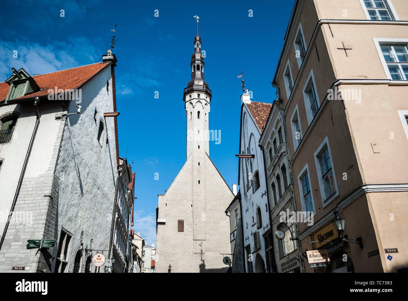 Tallinn Town Hall (Tallinna raekoda). Stock Photo