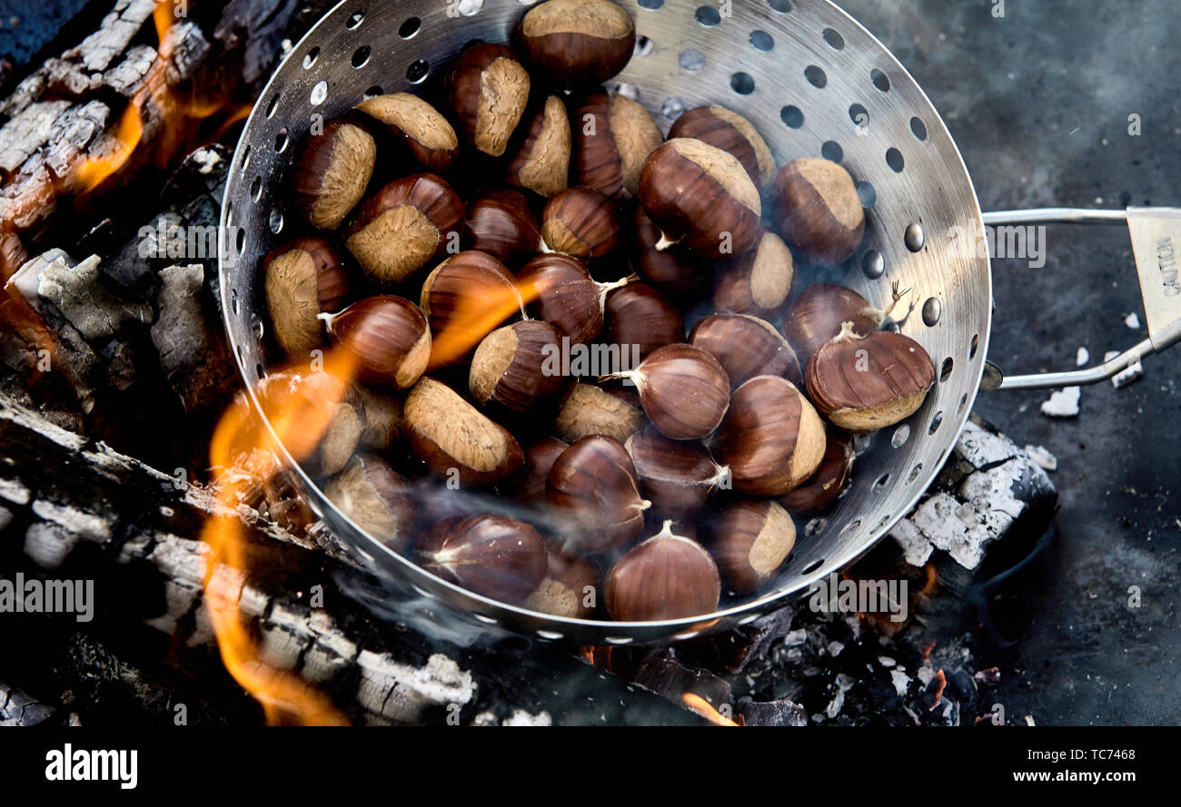 Roaster full of fresh whole sweet chestnuts in their shells roasting on the hot coals of a barbecue a fire in a close up high angle view Stock Photo