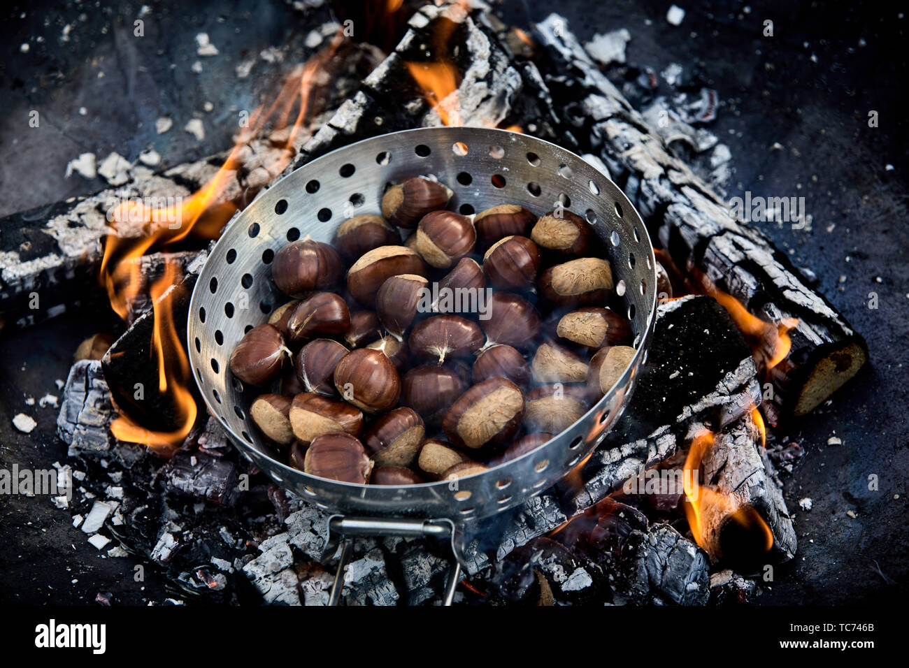 Roaster filled with roasting sweet chestnuts sizzling over the hot coals of a barbecue fire in a close up high angle view Stock Photo