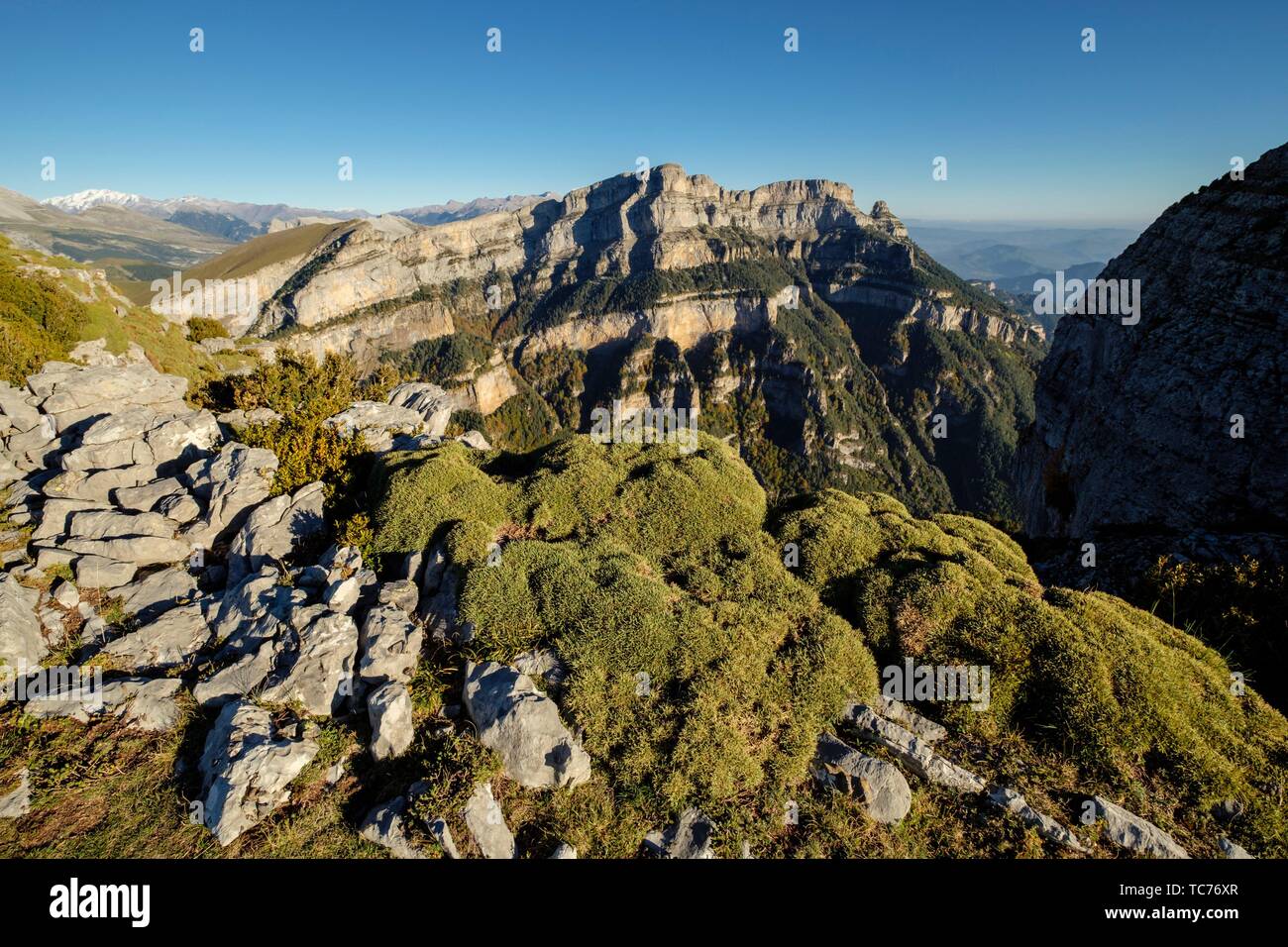 Piedra de relieve hi-res stock photography and images - Alamy