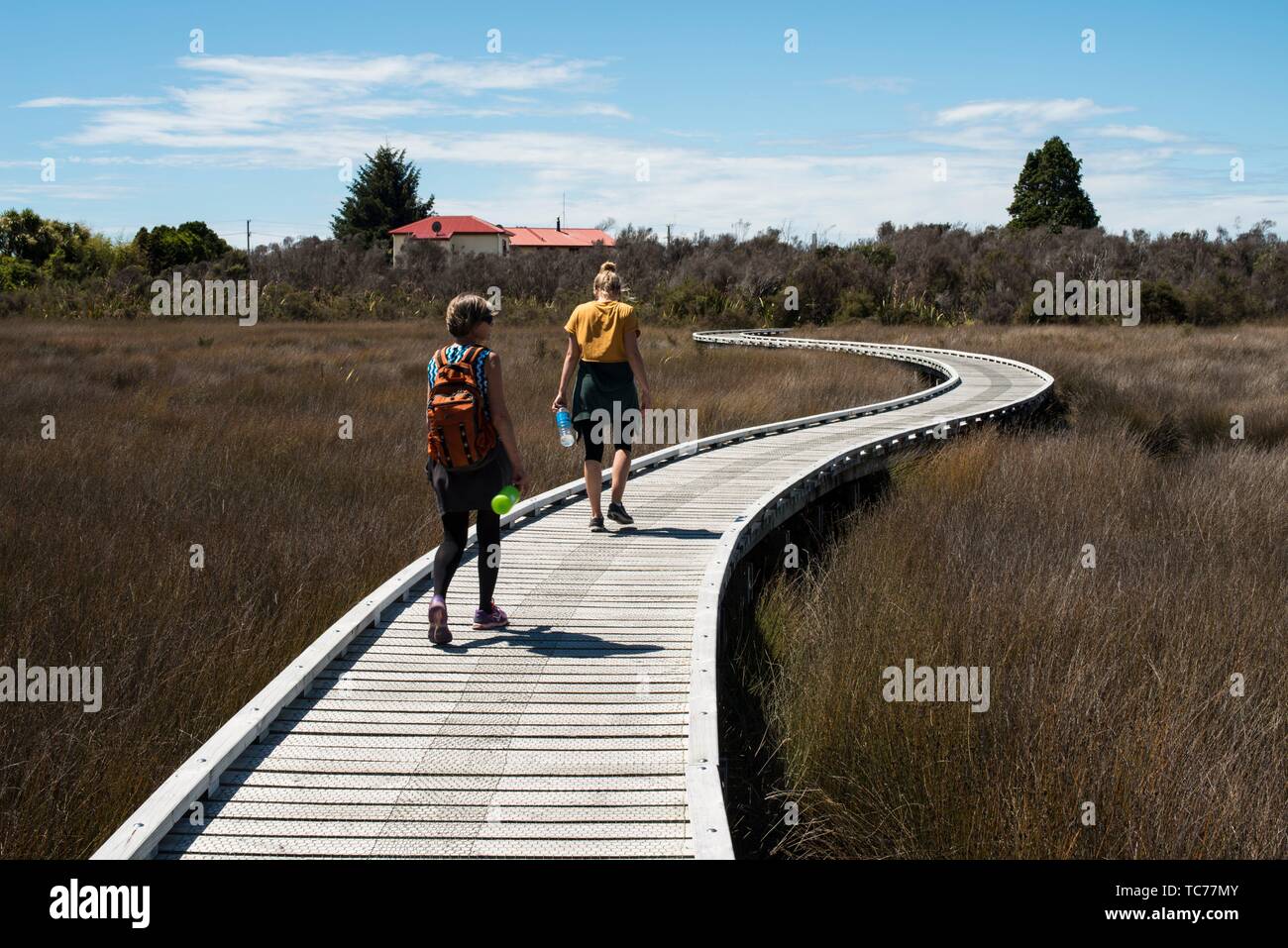 Walking path in Okarito, South Island, New Zealand. Stock Photo