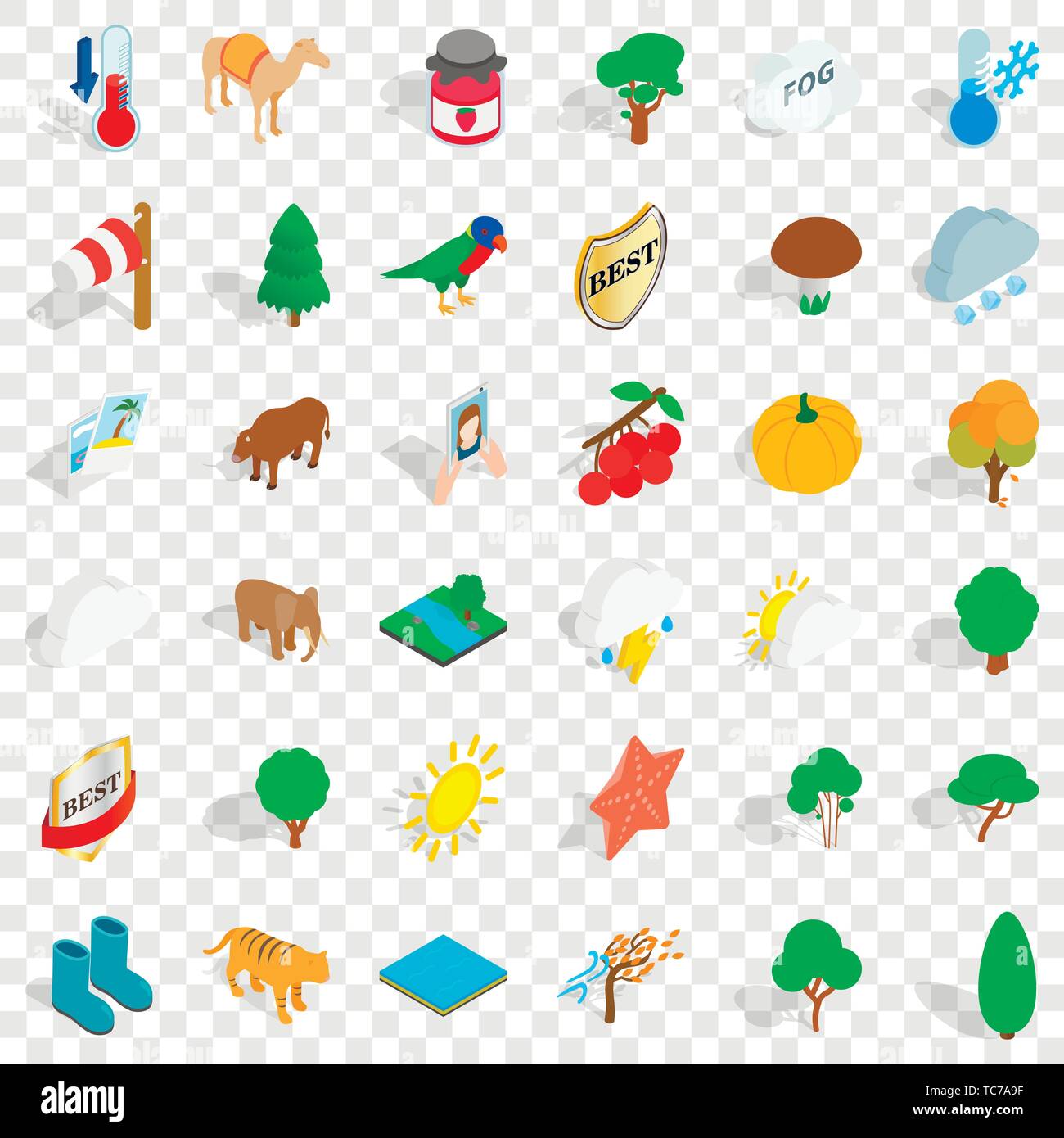 Camel icons set, isometric style Stock Vector