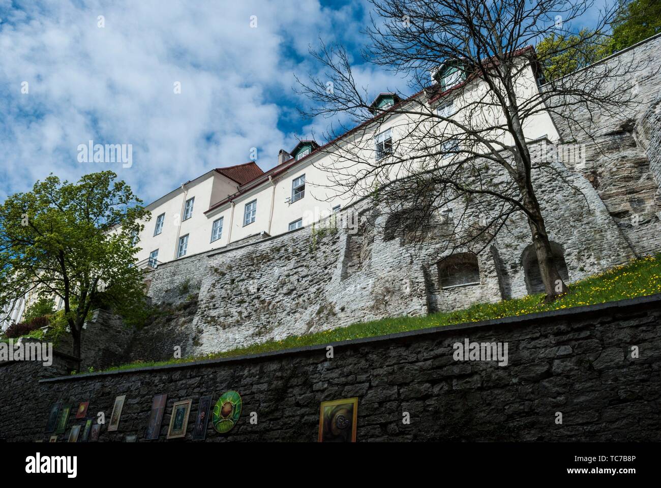 Tallinn City Walls (Tallinna linnamüür), Toompea Hill, Tallinn, Estonia, Baltic States. Stock Photo