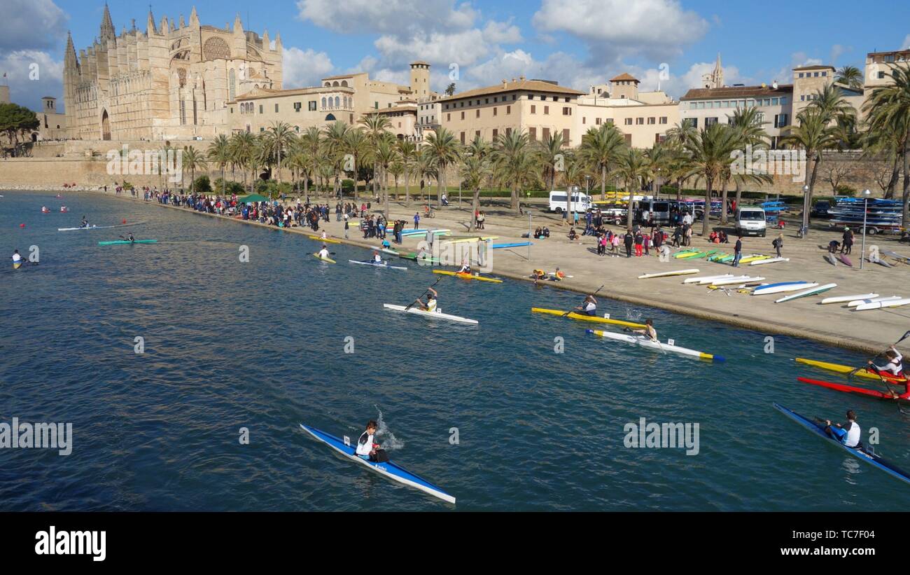 Kayak competition in front of the cathedral of Palma de Majorca, the  Balearic capital city, Spain, Europe Stock Photo - Alamy